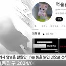 '동탄 화장실 성범죄' 무고 50대 여성...약 기운 때문에 이미지