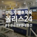 올리스24 두류공원점 | [올리스24 대구두류공원점] 고품격 애견 스파 이용후기❤️