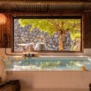 해피 파마씨 이미지