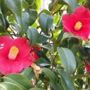 하늘바다펜션 이미지