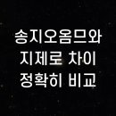 송지오옴므와 지제로 차이 정확히 비교