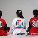 강호 해솔 태권도 이미지