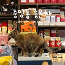 중앙동231 이미지