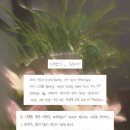 김단아 카카오 검색결과