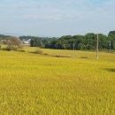 군량리라인 이미지