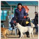 비상초등학교 이미지