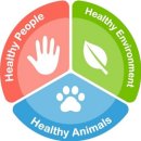 내성동물병원 이미지