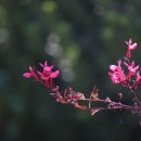 달빛한옥민박 이미지