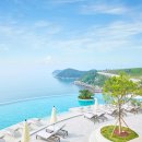 쏠비치 호텔앤리조트 진도 인피니티풀 이미지