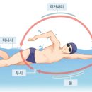 수영 이미지