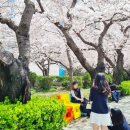 남천동 삼익비치 301동 앞 자전거대여소 이미지