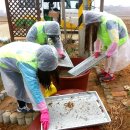 협성농장 이미지