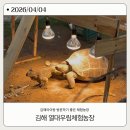 우림농장 | 김해 아이랑 가볼만한곳 열대우림 체험농장 후기 (먹이체험 가능🥕)