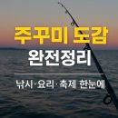 바다요정 | 바다의 요정~ 가을 쭈꾸미 낚시 도감! 완벽정리