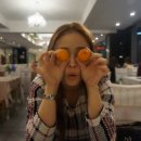 트레인스마트 이미지