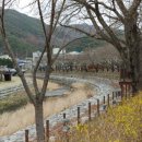 수안보족욕길 이미지