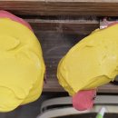 아침치과기공소 이미지