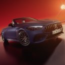 월호텔주식회사 이미지