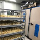 하늘비 홍삼원 이미지