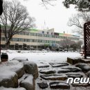 곡성-221 이미지