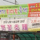 낙동강제방(강서30리벚꽃길) 이미지