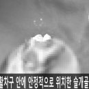 신리천로 이미지