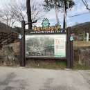 정관 8호광장 중앙공원 앞 | 용인자연휴양림 잔디광장 피크닉 장소 추천, 숙소 종류부터 예약 방법까지 총정리