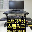 개인화물3278 | 허리 골반 아파서 구입한 서서 일하는 스탠딩 책상 카멜마운트 스탠워크 PSW-E 내돈내산 솔직 사용 후기