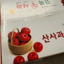 달콤한 사과이야기 | 푸르츠츠 경북 안동 부사사과, 아삭하고 달콤한 사과 온라인 주문 택배 후기