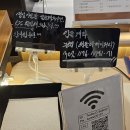 경대후문 앞 | [진주/가좌동] 경상대 후문 거북이를 볼수있는 특별한 카페, 터틀디베이커리 카페