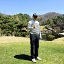 떼제베 Daum카페