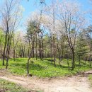 미리내 농장 이미지