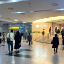 롯데백화점 대구점 이미지