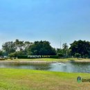 피닉스 | 파타야 골프장 부킹 가성비로 인기좋은 태국 피닉스CC 예약 후기