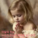 알베르또