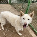 준독트레이닝센터 이미지