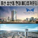 현대메디컬 네이버블로그