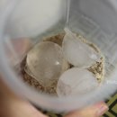 해아람 영농조합법인 이미지