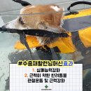 옥서스 하남센터 이미지