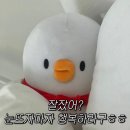 햅삐네일 | 잘잤어? 🐤