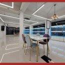 로얄펫 강아지분양 고양이분양 전주점 이미지