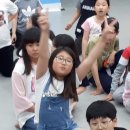 미래 태권도 이미지