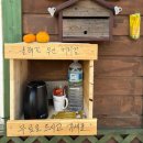 맘스터치제주세화점 | 2월 기록