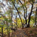 경희대학교 법무대학원 이미지