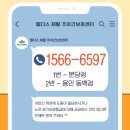 동백바둑 이미지