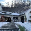 도그-in 하우스 이미지