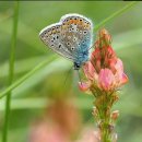 열매한의원 이미지