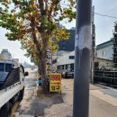 형제타이어 해도점 이미지