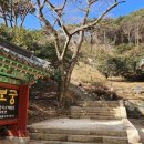 순천 동화사 마을숲(동화사 동백림) | 실태조사208(사찰과 방화림)