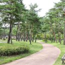 영주호오토캠핑장 이미지